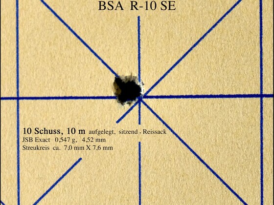 BSA R-10 SE, Streukreis 10 Schuss, 10m, JSB Exact 0,547g