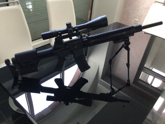 AR-15 von DPMS „SPR“ in .223 Rem. mit zugelassenem 10 Schuss Magazin von OA