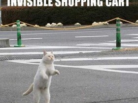 invisible-shoppingcart
