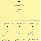 Muntionstest, FWB300S, JSB Fieldtarget, 25m, 13.05.2012 (1)