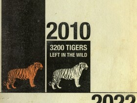WWF Tigerzählung 2010